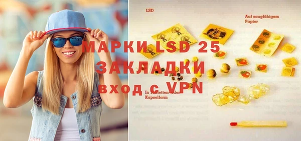 гашик Аркадак