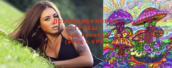гидропоника Армянск