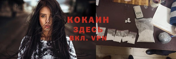 гашик Аркадак
