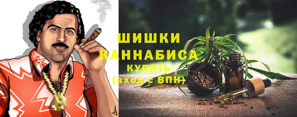 гашик Аркадак