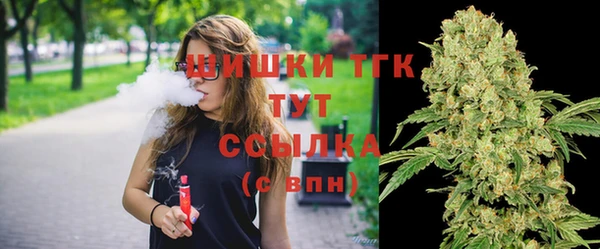гашик Аркадак